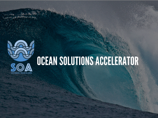 Sustainable Ocean Alliance obtiene una donación de $ 1.5 millones de Benioffs 1 Sustainable Ocean Alliance obtiene una donación de $ 1.5 millones de Benioffs