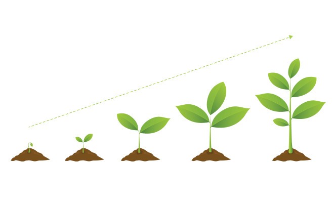 VCs tiene un creciente apetito por "AgriFood" 1 VCs tiene un creciente apetito por "AgriFood"