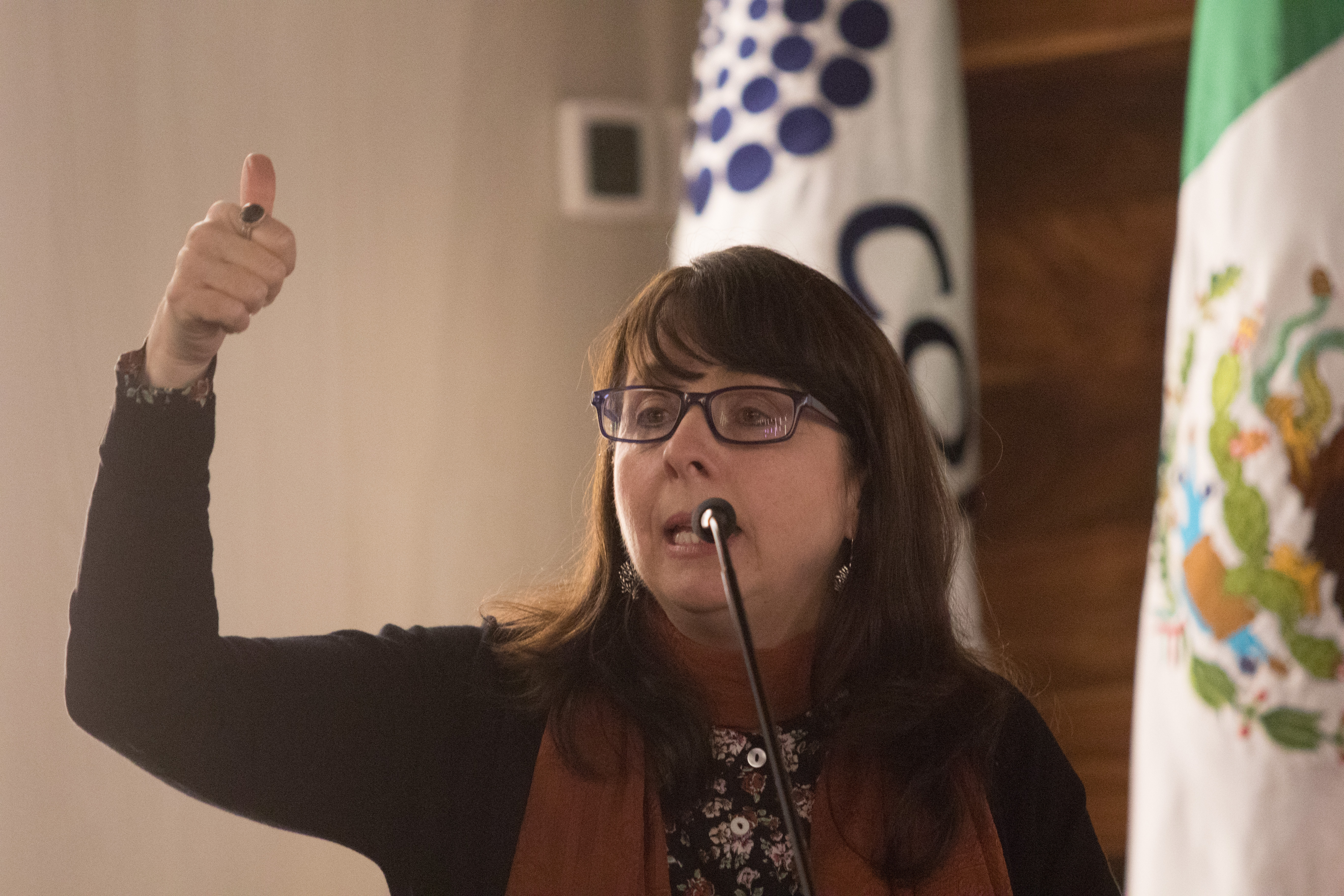 ¿Qué está pasando en el @Conacyt_MX? (Artículo) 3 1555940781 113 ¿Qué está pasando en el @Conacyt MX Artículo