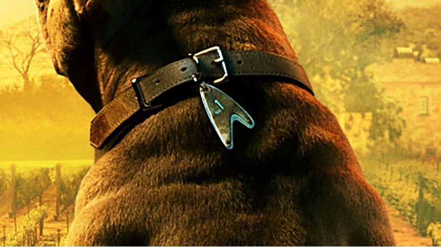 Picard Dog No 1 Picard Dog No 1