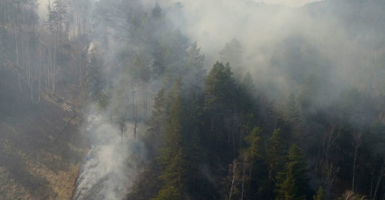 Arden tres millones de hectáreas de bosques en Siberia | Video 1 Arden tres millones de hectáreas de bosques en Siberia | Video