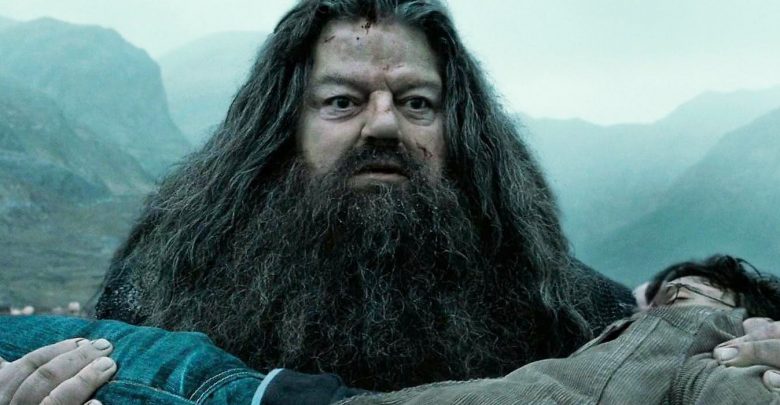 Qué pasó con Hagrid después de que Harry Potter terminara
