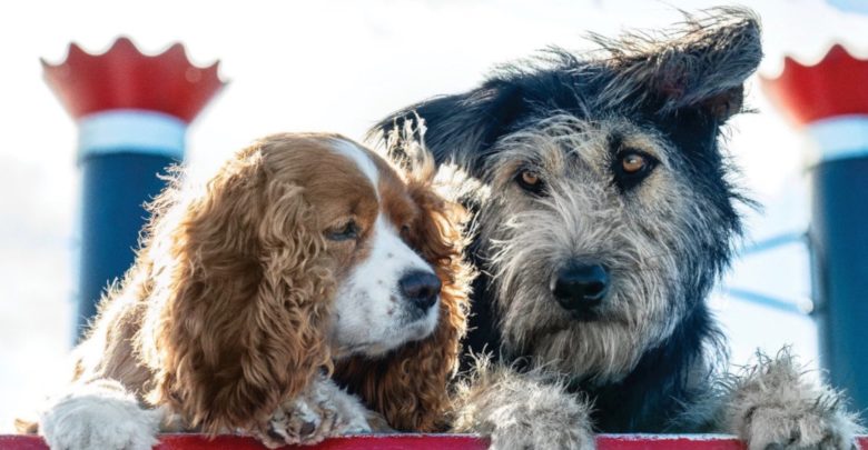 10 mejores películas para amantes de los perros, clasificadas | ScreenRant 1 1567547343 10 mejores películas para amantes de los perros clasificadas