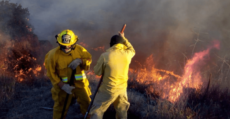 Declaran Rosarito, Baja California, “zona de desastre” tras incendios forestales 1 Declaran Rosarito Baja California “zona de desastre” tras incendios forestales