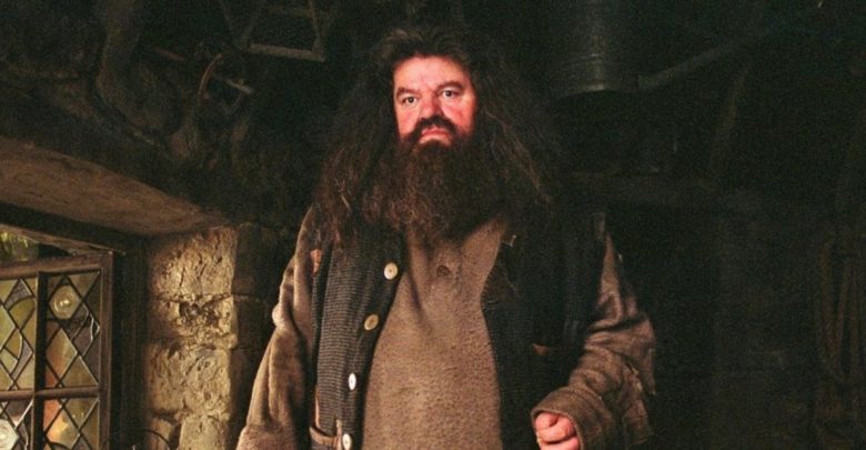 Harry Potter: las 10 mejores criaturas mágicas que Rubeus Hagrid nos presentó 1 Harry Potter las 10 mejores criaturas mágicas que Rubeus Hagrid
