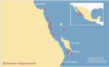 De pescadores a guardianes del mar: la historia del primer refugio pesquero de México 3 Los primeros refugios de México.