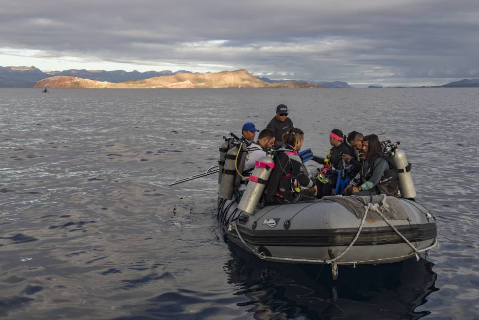 De pescadores a guardianes del mar: la historia del primer refugio pesquero de México 4 Pescadores capacitados como buzos salen a elaborar censos submarinos.