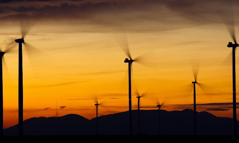 Continuará la batalla legal contra empresas de energía renovable: AMLO 1 Combatirá Cenace amparos de empresas de energía renovable
