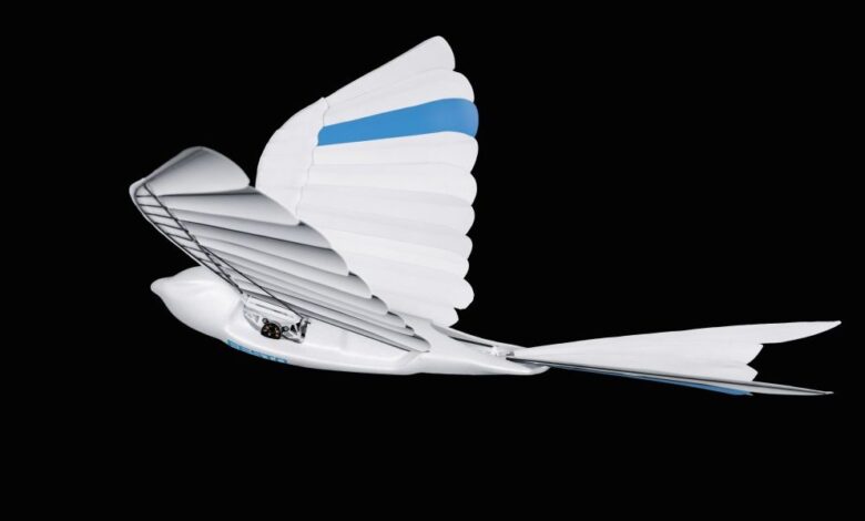 Los drones son geniales, pero los pájaros robot son mejores 1 Los drones son geniales, pero los pájaros robot son mejores