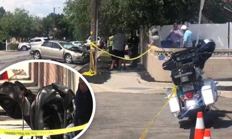 Policía: conductor intenta esquivar perro y atropella a madre con niñas gemelas 1 Policia conductor intenta esquivar perro y atropella a madre con