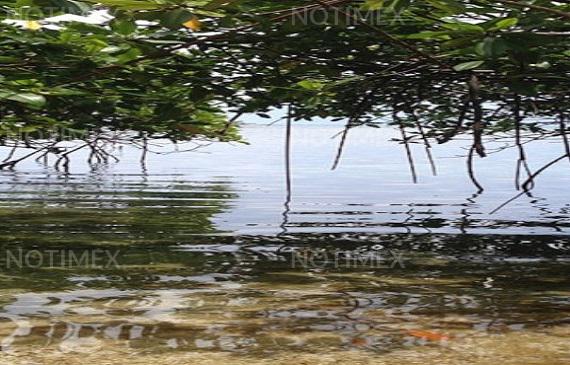 Panamá va por la inversión verde tras contingencia por COVID-19 1 panama va por la inversion verde tras contingencia por covid 19 5f25b3c24764c