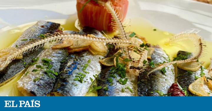 El gran festín de las sardinas 1 1599208816 El gran festin de las sardinas