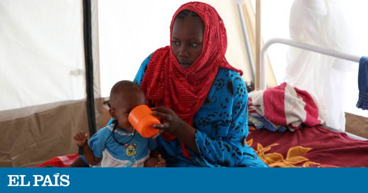 Druidesas y súper alimentos 1 1604050739 Druidesas y super alimentos
