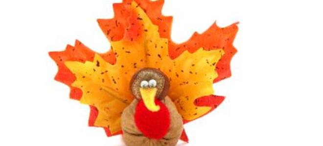 Decoración de bricolaje de Acción de Gracias: estas manualidades de pavo no son para niños 1 Decoracion de bricolaje de Accion de Gracias estas manualidades de