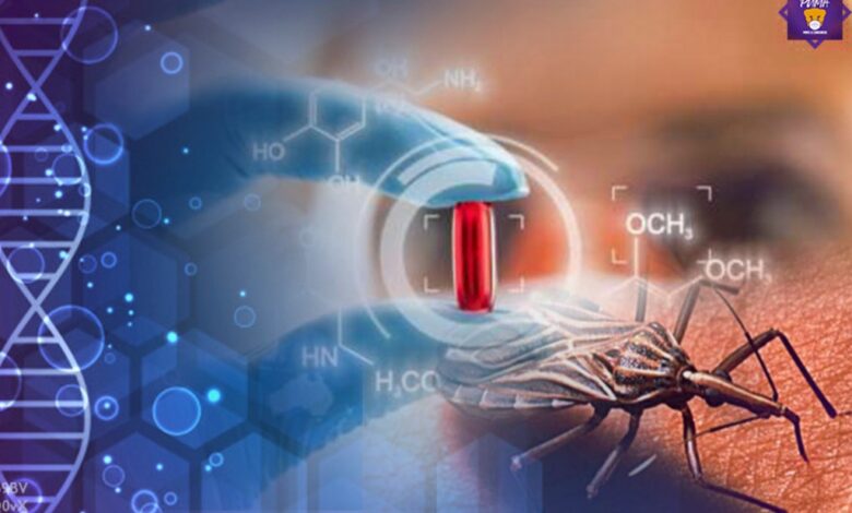 Diseñan en la UNAM nanopartículas para infectar al parásito que causa la enfermedad de Chagas 1 Disenan en la UNAM nanoparticulas para infectar al parasito que