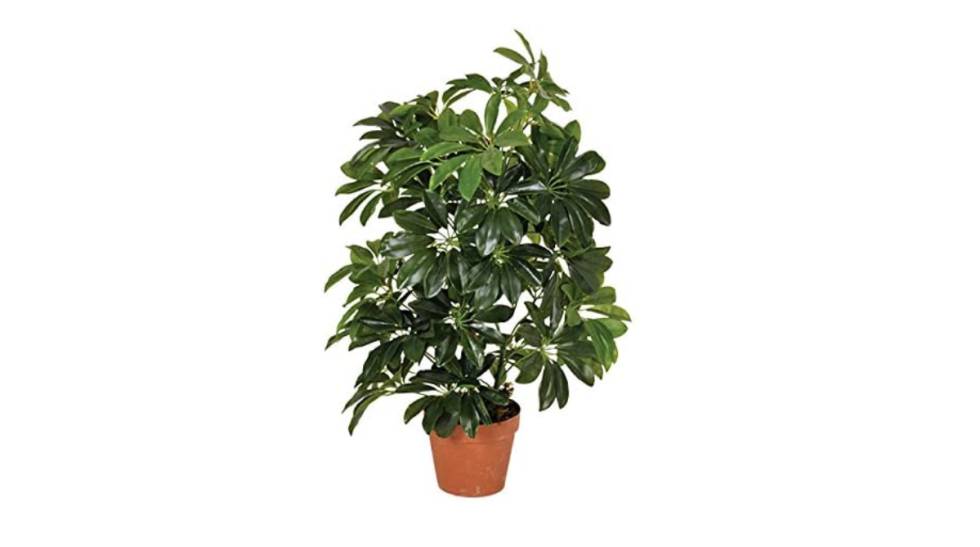 10 plantas y flores artificiales para decorar la casa que parecen de verdad 7 10 plantas y flores artificiales para decorar la casa que parecen de verdad