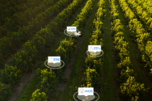 La startup sudafricana Aerobotics recauda 17 millones de dólares para escalar su plataforma de IA para la agricultura 2 La startup sudafricana Aerobotics recauda 17 millones de dolares para