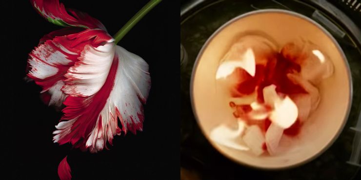 Cómo cada película de Crepúsculo hace referencia a las portadas de libros | 3 1614762957 764 Como cada pelicula de Crepusculo hace referencia a las portadas.5