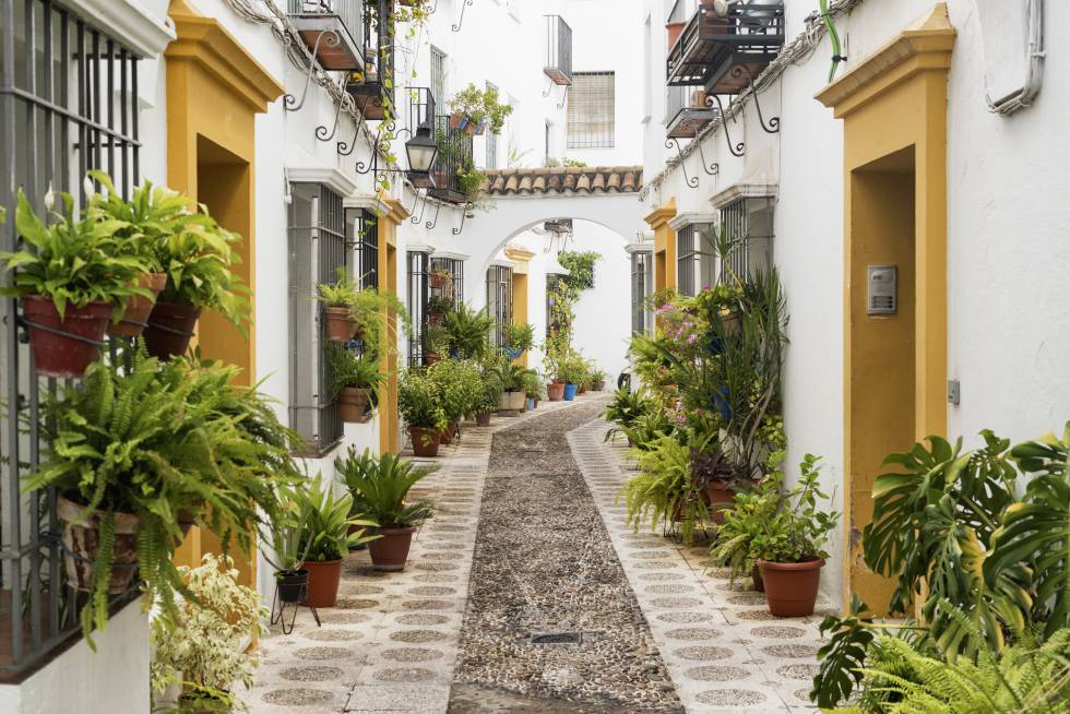Córdoba en verde: jardines, senderos, patios y laberintos 6 Una calle de la judería cordobesa, decorada con macetas y plantas, colgadas de las rejas y en el suelo.
