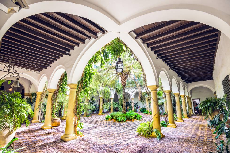 Córdoba en verde: jardines, senderos, patios y laberintos 9 Un patio con jardín en los terrenos del Palacio de Viana, en Córdoba.