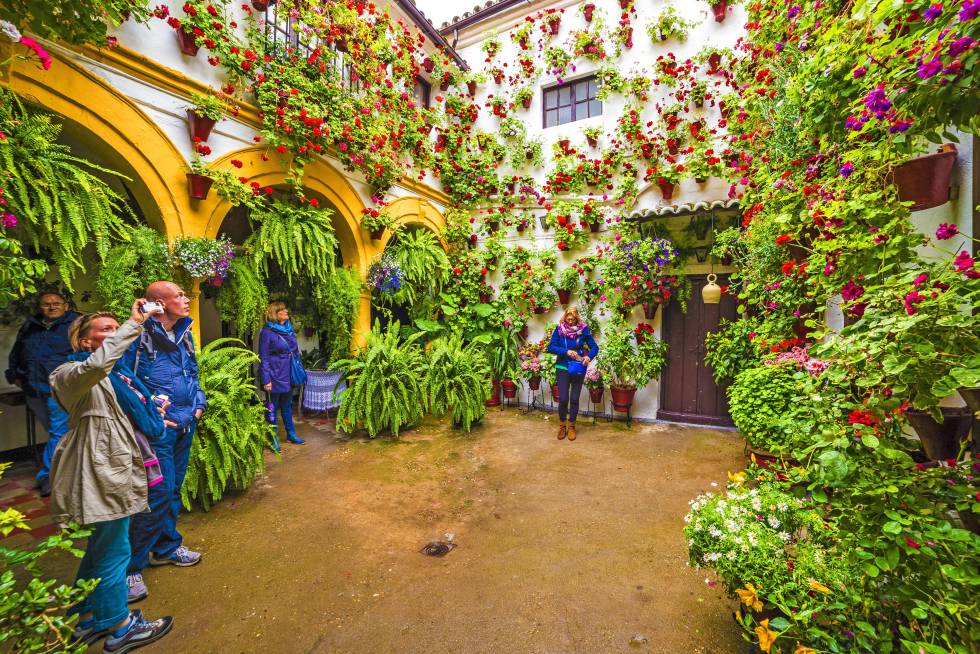 Córdoba en verde: jardines, senderos, patios y laberintos 8 Un clásico patio cordobés recibe la visita de turistas durante el festival de los patios, que se suele celebrar en la segunda quincena de mayo.