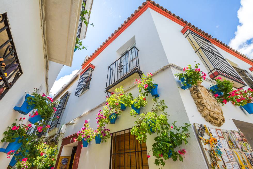 Córdoba en verde: jardines, senderos, patios y laberintos 10 La Calleja de las Flores, en la Judería de Córdoba, una de las calles más populares y turísticas de la ciudad andaluza.