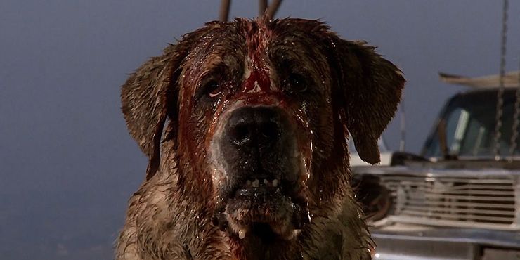 Películas de terror de los 80: Los 10 mejores eslóganes | 11 1615442080 511 Peliculas de terror de los 80 Los 10 mejores esloganes.5
