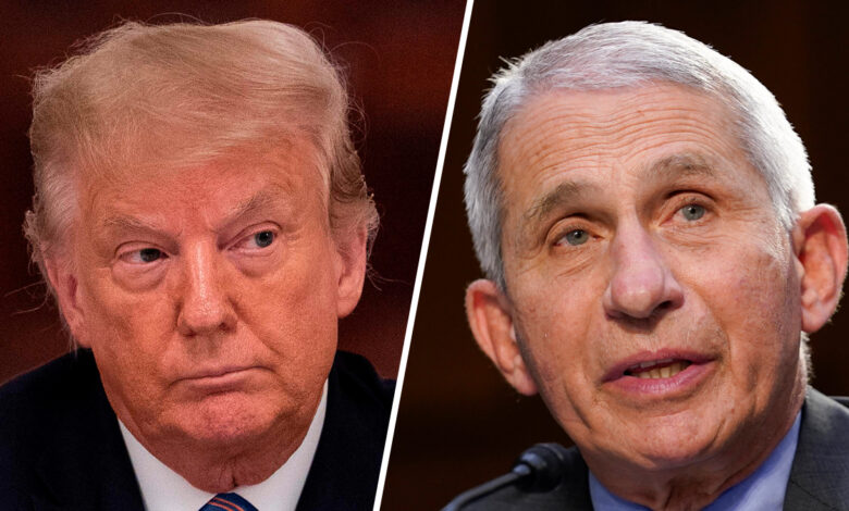 Trump arremete contra Fauci: “reinventa la historia” para encubrir sus malas decisiones 1 1617212066 Trump arremete contra Fauci reinventa la historia para encubrir sus