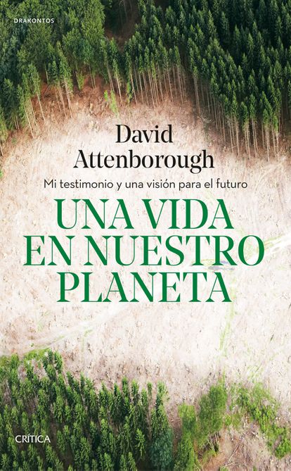 El fascinante encuentro de David Attenborough con los nativos de los dientes de murciélago en la nariz 3 1621109637 393 El fascinante encuentro de David Attenborough con los nativos de
