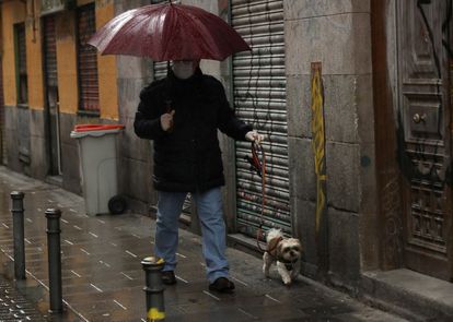 Granja animal 2 Un hombre pasea a su perro en el madrileño barrio de Malasaña.