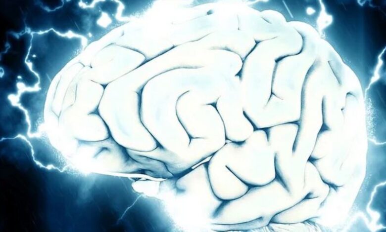 acciones que realiza y qué controla 1 acciones que realiza y que controla
