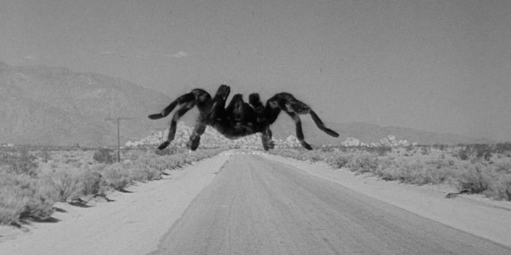 Aragog de Harry Potter y otras 9 arañas aterradoras de películas 3 1623568803 396 Aragog de Harry Potter y otras 9 aranas aterradoras de.5
