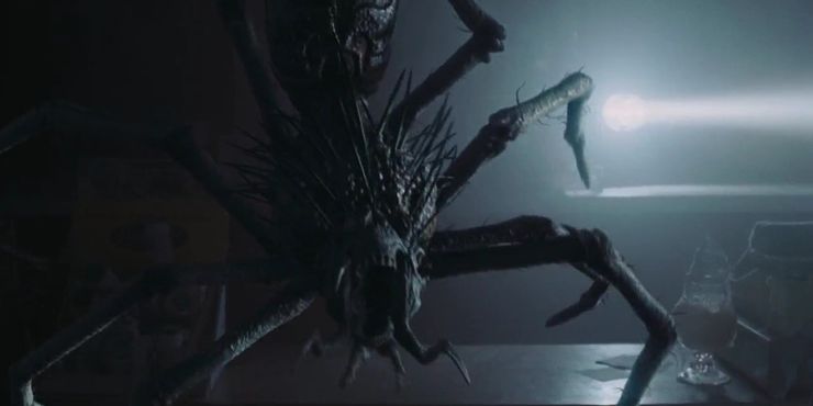 Aragog de Harry Potter y otras 9 arañas aterradoras de películas 5 1623568806 205 Aragog de Harry Potter y otras 9 aranas aterradoras de.5