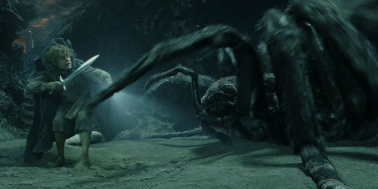 Aragog de Harry Potter y otras 9 arañas aterradoras de películas 11 1623568813 589 Aragog de Harry Potter y otras 9 aranas aterradoras de.5