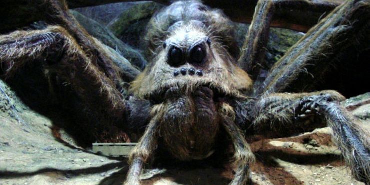 Aragog de Harry Potter y otras 9 arañas aterradoras de películas 2 Aragog de Harry Potter y otras 9 aranas aterradoras de.5