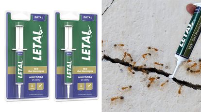 12 insecticidas y repelentes baratos para acabar con las hormigas en casa durante el verano 5 1625840609 579 12 insecticidas y repelentes baratos para acabar con las hormigas