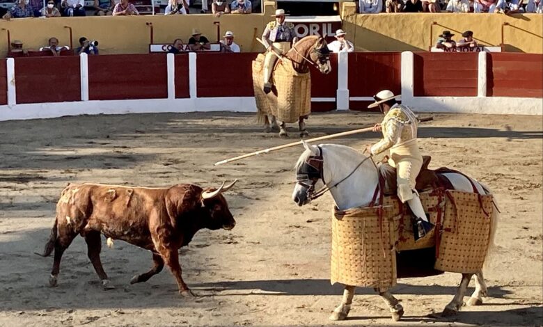 Durísima mansada de la Casta Navarra en su regreso a las plazas 1 1626558712 Durisima mansada de la Casta Navarra en su regreso a