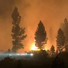 El permafrost: el “suelo congelado eterno” de Siberia se derrite 14 In this photo provided by the Bootleg Fire Incident Command, the Bootleg Fire burns at night in southern Oregon on Saturday, July 17, 2021. The destructive Bootleg Fire, one of the largest in modern Oregon history, has already burned more than 476 square miles (1,210 square kilometers), an area about the size of Los Angeles. The Bootleg Fire is among dozens burning in the parched West. (Bootleg Fire Incident Command via AP)