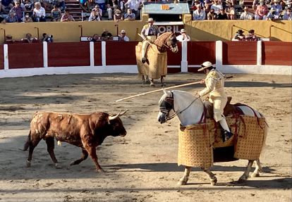 Durísima mansada de la Casta Navarra en su regreso a las plazas 2 El tercer toro de la tarde, en el tercio de varas.