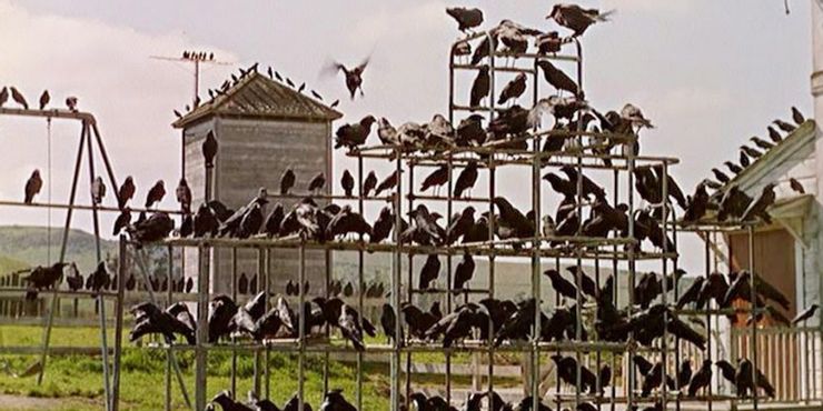 10 grandes películas clásicas que no sabías que estaban en Peacock 8 1628934240 670 10 grandes peliculas clasicas que no sabias que estaban en.5