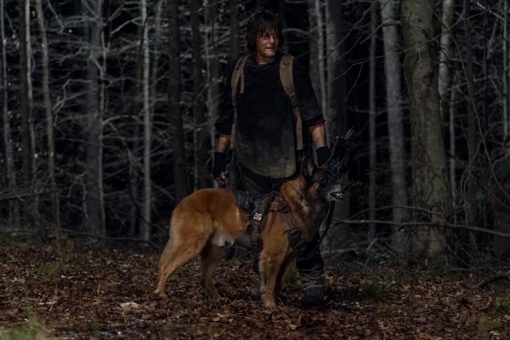 Las imágenes de la temporada 11 de Walking Dead provocan que Maggie y Negan se unan 6 1628988351 485 Las imagenes de la temporada 11 de Walking Dead provocan.5