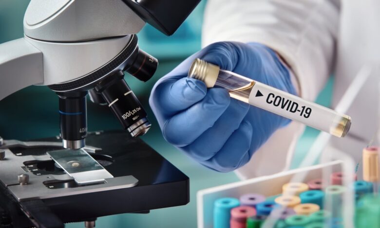 Se estanca la búsqueda del origen del COVID-19, según expertos – Telemundo 52 1 1629955021 Se estanca la busqueda del origen del COVID 19 segun expertos