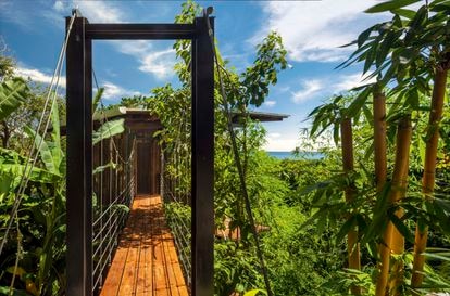 La arquitectura como una construcción viva 2 La vivienda, diseñada por el estudio Olson Kundig en Santa Teresa (Costa Rica), está completamente construida con madera local de cenízaro y, sin apenas cimentación, quiere comportarse como un árbol más.