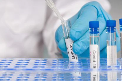 Tras año y medio conviviendo con la covid, ¿cómo están mis defensas? 2 Con una simple muestra de sangre, en poco más de media hora el test serológico facilita la información requerida.