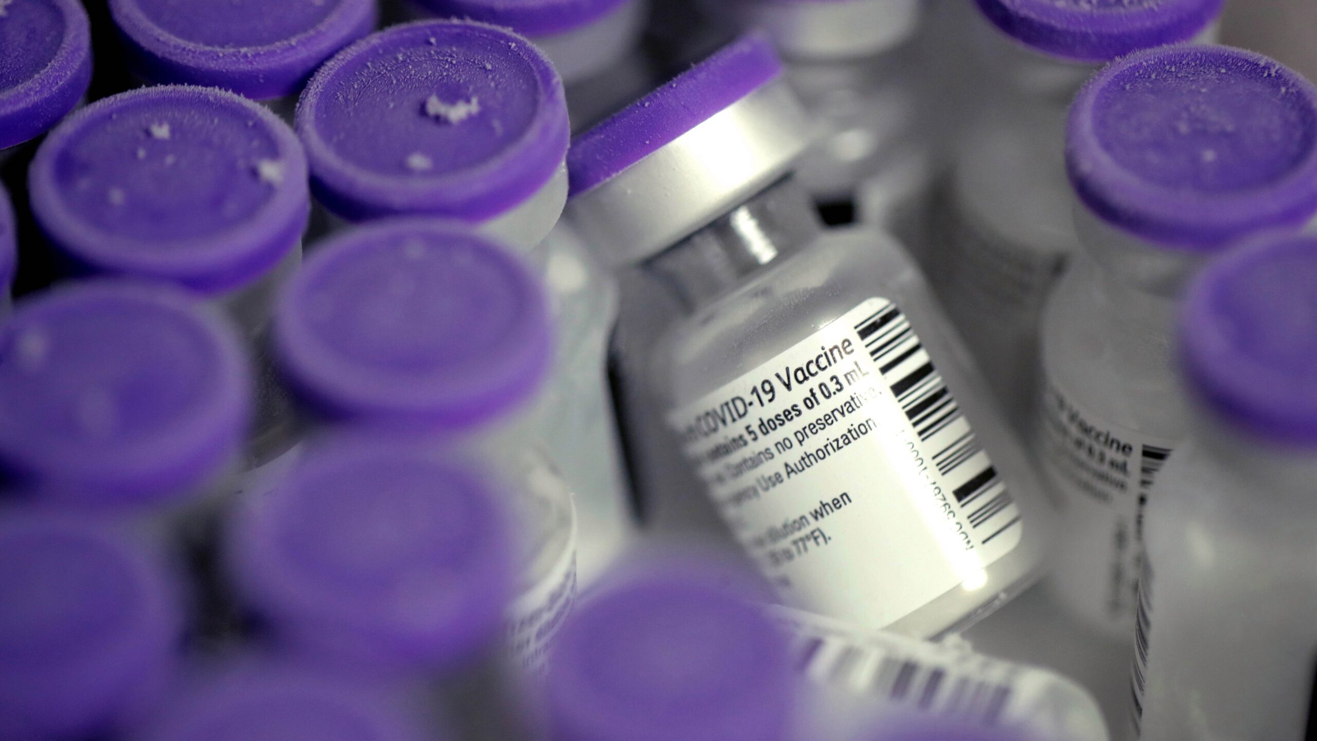 CDC: no vacunados tienen 11 veces más probabilidades de morir de COVID-19 1 CDC no vacunados tienen 11 veces mas probabilidades de morir scaled