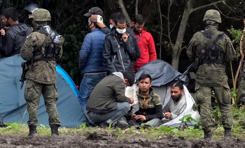 La batalla sin bombas del bosque de Białowieska 1 La batalla sin bombas del bosque de Bialowieska