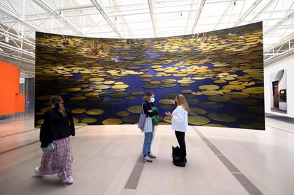 Thomas Demand destruye hasta la última cena de Whitney Houston 4 'Los nenúfares' de Demand, inspirados en la obra de Monet.
