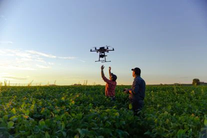 Una nueva plataforma para la inclusión digital 4 La nueva banda de 700 MHz de 5G, capaz de dar cobertura a zonas más extensas, proporciona un gran potencial de conectividad para los trabajadores del campo.