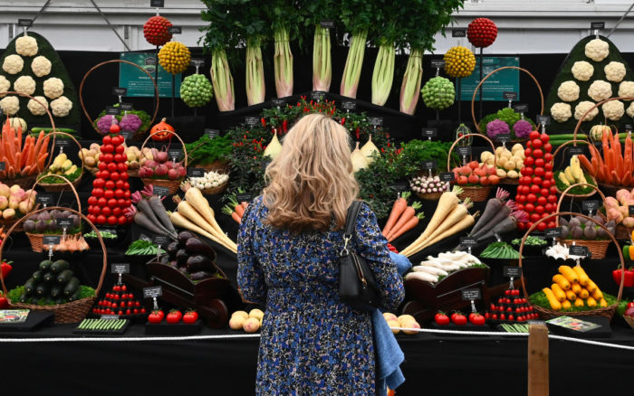 EAT-Lancet urge a reducir el consumo mundial de carne y a duplicar la ingesta de frutas, vegetales, nueces y legumbres 1 EAT-Lancet urge a reducir el consumo mundial de carne y a duplicar la ingesta de frutas, vegetales, nueces y legumbres