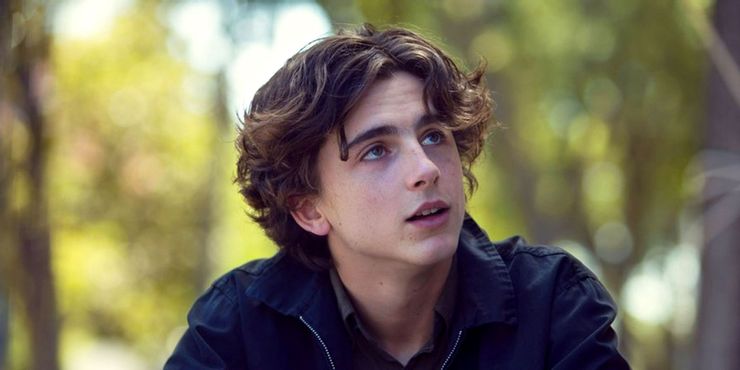 Timothee Chalamet de Dune: 7 personajes más populares | 4 1634461387 154 Timothee Chalamet de Dune 7 personajes mas populares.5